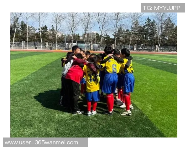 激情四溢的奥体赛场辽宁足球队奋勇争先展现风采