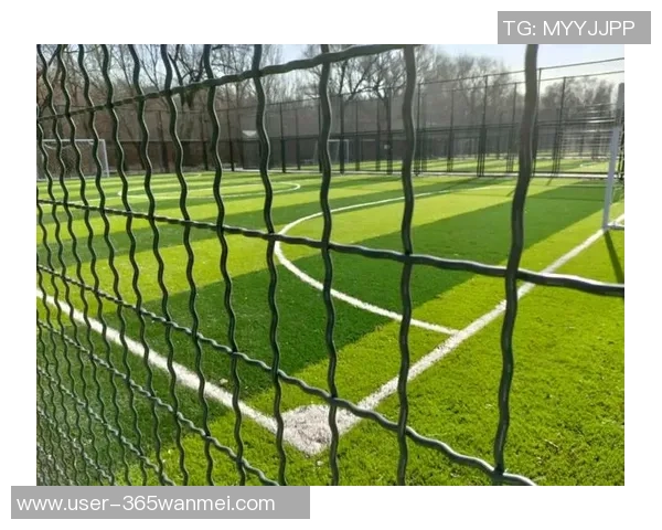 笼式足球场价格分析及影响因素探讨让你了解投资回报与市场行情